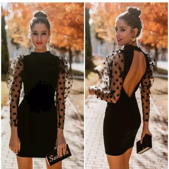 Zara Dresses & Skirts - Zara velvet dotted mesh dress